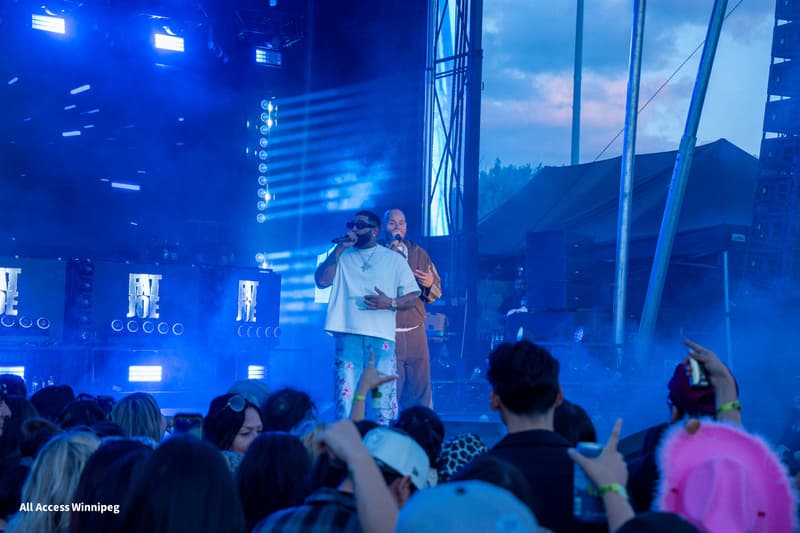 Fat Joe and a second performer on stage together, crowd with hands up in the foreground
